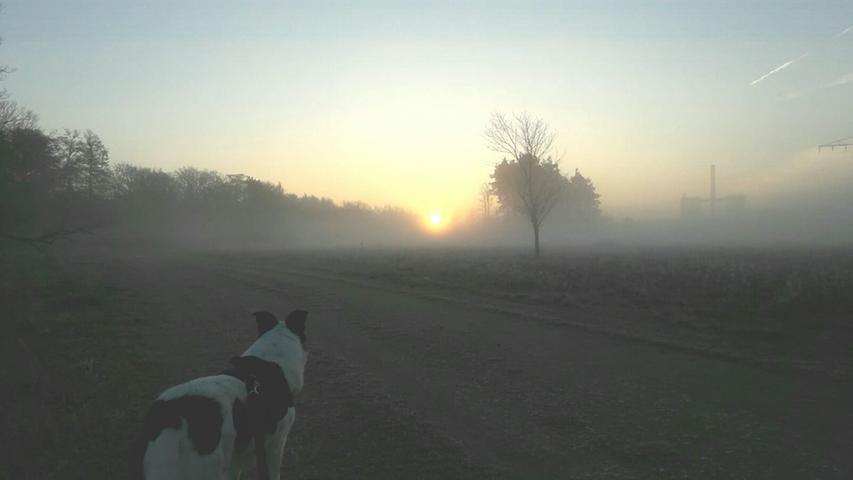 Der Hainberg ist bei Sonnenaufgang für Kerstin und ihren Hund sicher ein super Start in den Tag.