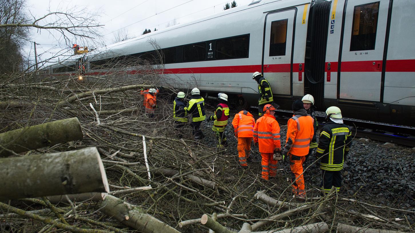Zahlreiche Zugstrecken waren durch umgestürzte Bäume blockiert (Symbolbild).