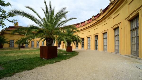 Mediterranes Flair: Die Orangerie im Schlossgarten.