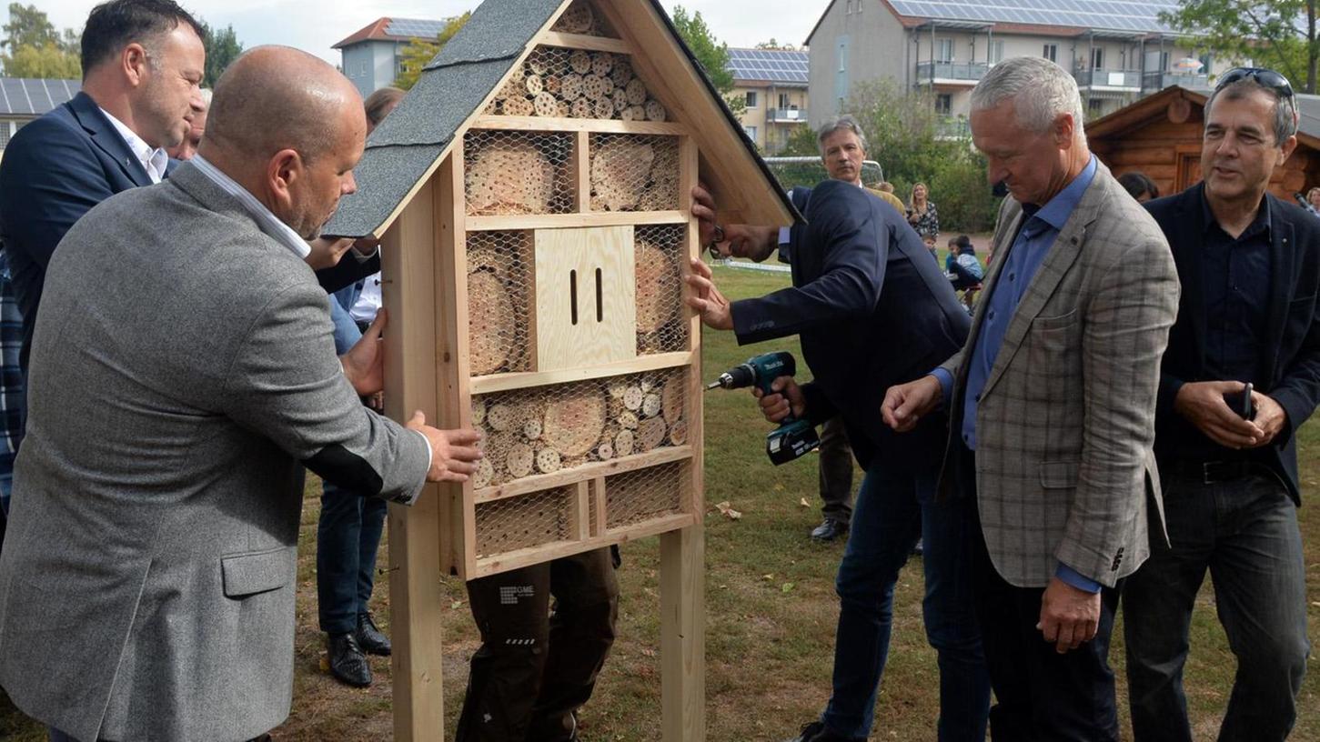 Pestalozzi-Schule in Erlangen bekommt erstes Insektenhotel