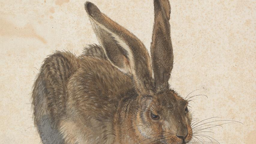 Vom Hasen bis zu den betenden Händen: Albertina in Wien zeigt Dürers Werke