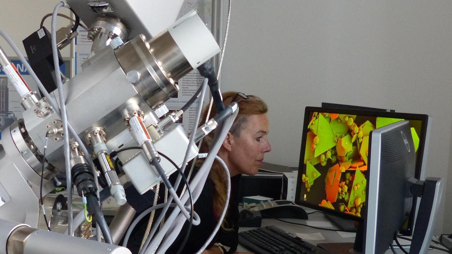 Groß und teuer sind die Mikroskope, um die Nanopartikel aufzuspüren, die Silke Christiansen in Farbe auf den Bildschirm projiziert. 15 Millionen Euro kosten die Geräte.