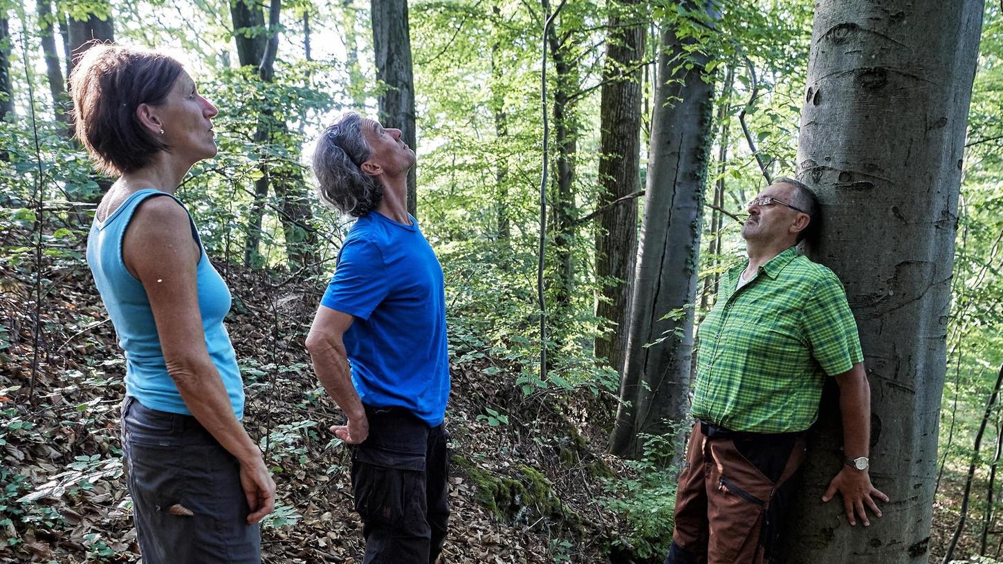 Gößweinstein: Zum letzten Mal startet Tour zum Waldbaden
