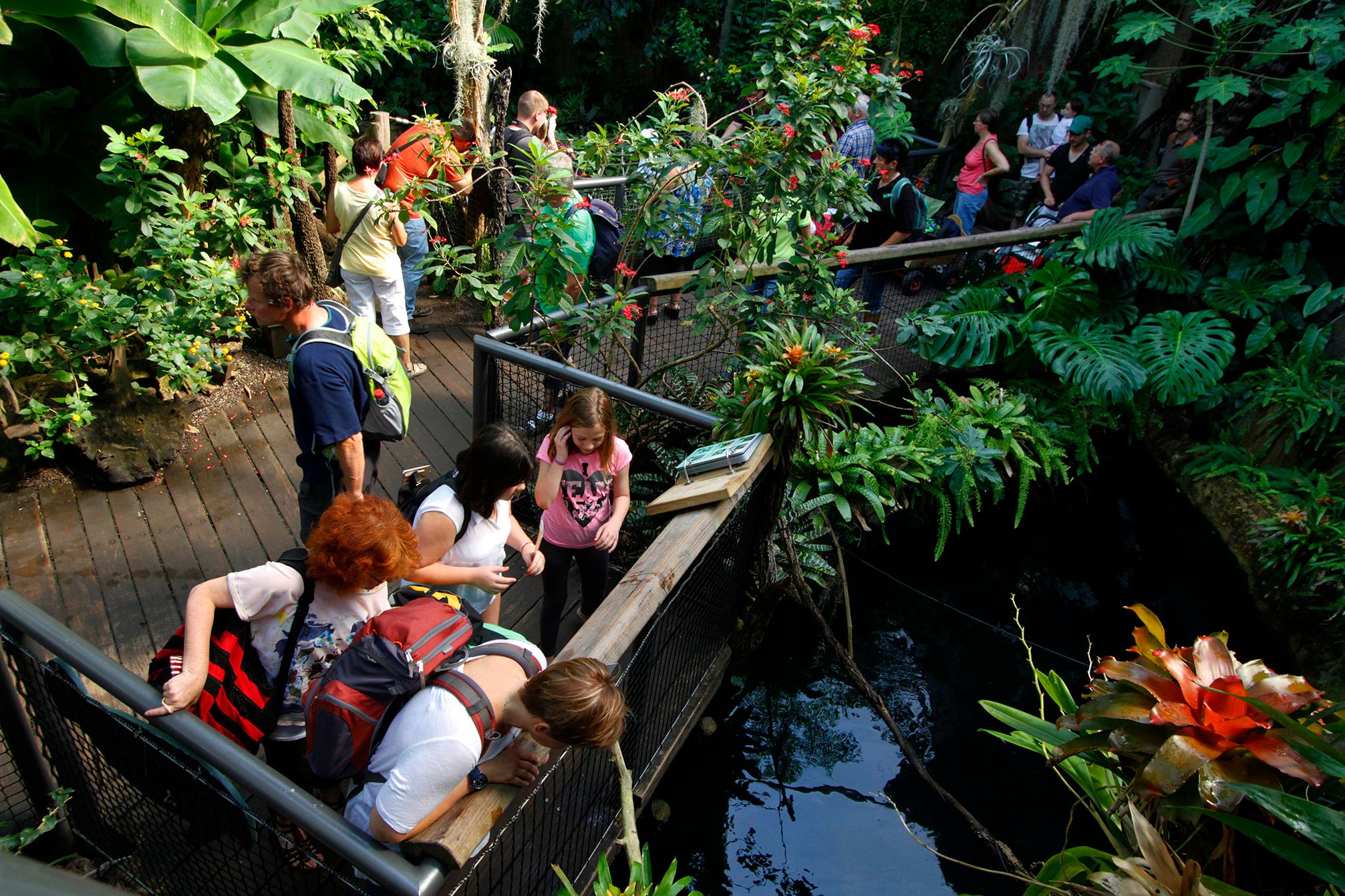 Er liegt mitten in der Sandsteinlandschaft des Schmausenbuck, wer ihn vollständig erlaufen will, spult mehrere Kilometer ab: Der Landschaftszoo bietet mit ehemaligen Sandsteinbrüchen und der Mischkultur des früheren Reichswalds eine reizvolle Umgebung. Viel staunen und lernen können gerade Kinder bei einem Spaziergang durch den Tiergarten. Aber auch Erwachsene tauchen bei einem Abstecher in das Manatihaus oder in die Delfinlagune in eine andere Welt ein - eine willkommene Abwechslung vom Alltag.