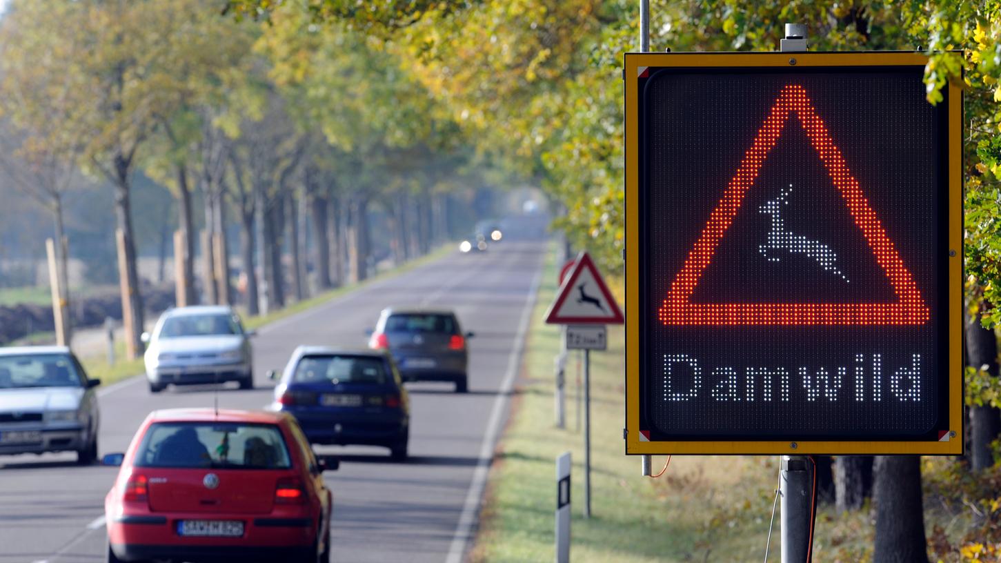 Auf dieses Zeichen sollten Autofahrer unbedingt achten. Vergangenes Jahr hat es so viele Wildunfälle gegeben wie nie zuvor.