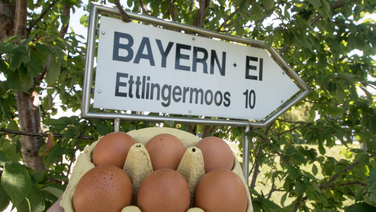 Ein Schild nahe dem Betriebsgelände der Firma Bayern-Ei. Mit Salmonellen belastete Eier hatten 2014 mindestens einen Menschen das Leben gekostet.
