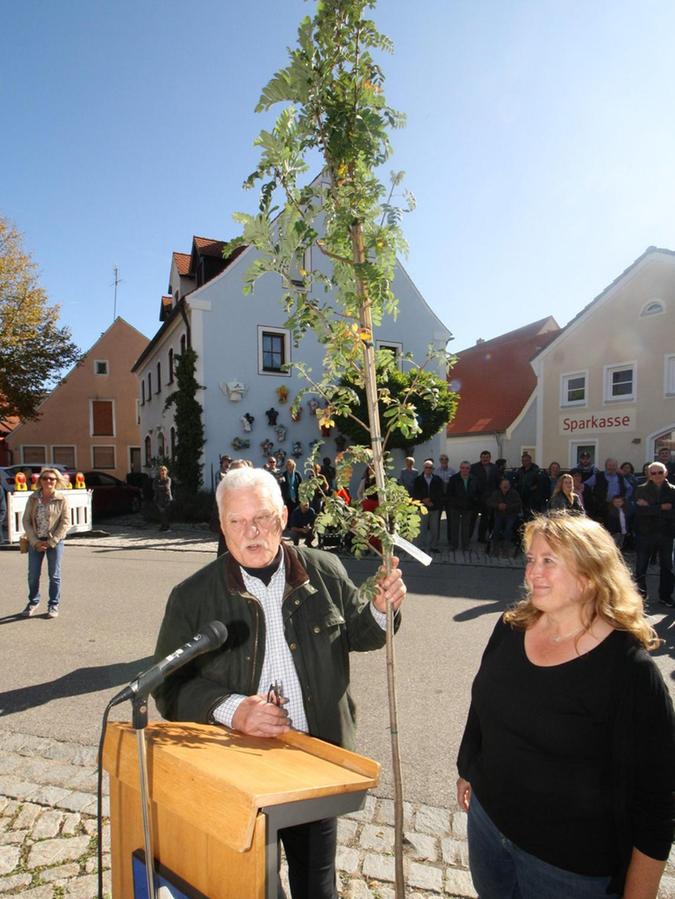 Bürgermeister Fritz Hörner freute sich über einen Speierling. Kreisfachberaterin Carola Simm überreichte dem Markt Berolzheimer Bürgermeister beim nkischen Streuobsttag diesen besonderen Wildobstbaum.