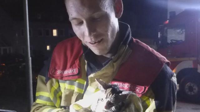 Weil eine Katze in einen Öltank gefallen war und sich nicht mehr befreien konnte, musste die Feuerwehr in die Sudetenstraße ausrücken.