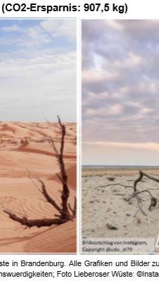 Ganz schön warm hier Nur richtige Wüstenmäuse trauen sich in diese sandigen Gefilde mitten in Afrika. Über ganze 9 Millionen km² und zehn Länder erstreckt sich die mächtige Saharaund ist damit die größte Trockenwüste der Welt. Und dort kommt man ganz schön ins Schwitzen! Tagsüber erreicht die Luft Temperaturen von bis zu 60°C. Nachts hingegen sinken die Temperaturen auf -10°C. So ein Zuhause wünscht sich kaum jemand, doch Tierarten wieSkorpione,Antilopenund Hyänen haben es sich in der Sahara gemütlich gemacht und sind perfekt an die Temperaturen angepasst. Wüstensand in Brandenburg Für jeden, der nicht bis nach Afrika reisen will, gibt es eine gute Nachricht: Auch Deutschland hat eine Wüste und die kommt der Sahara sehr nahe! Die Lieberoser Wüste liegt nur knapp 100 Kilometer von Berlin entfernt und ist mindestens genauso sehenswert wie ihr afrikanischer Zwilling. Zwar ist die Wüste mit 5 km² ganze1,8Millionenmalkleiner als die Sahara, ist aber immerhin die größte Wüste Deutschlands. Entstanden ist die Wüste durch einen Großbrand 1942. Die abgebrannte Fläche wurde anschließend als Truppenübungsplatz für die sowjetische Armee genutzt. Heute ist die kleine Schwester der Sahara Teil des Naturschutzgebietes Lieberoser Endmoräne.