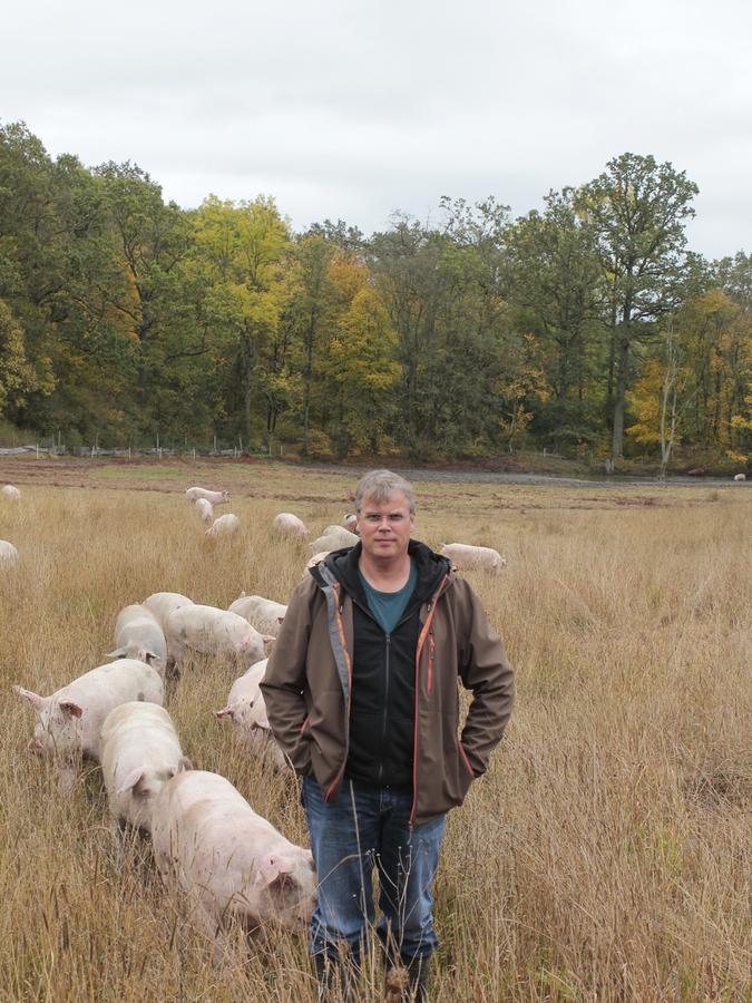 Hans-Hinrich Huss wollte unbedingt ein Eichelschwein-Projekt durchziehen. Weil es im heimischen Oberbayern keine Eichenwälder gibt, fährt er nun alle ein bis zwei Wochen von Freising nach Unterfranken.