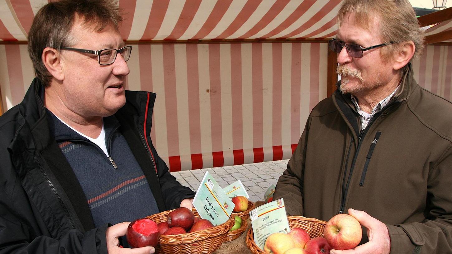 Red Love: Neue Apfelsorten in Ebermannstadt präsentiert
