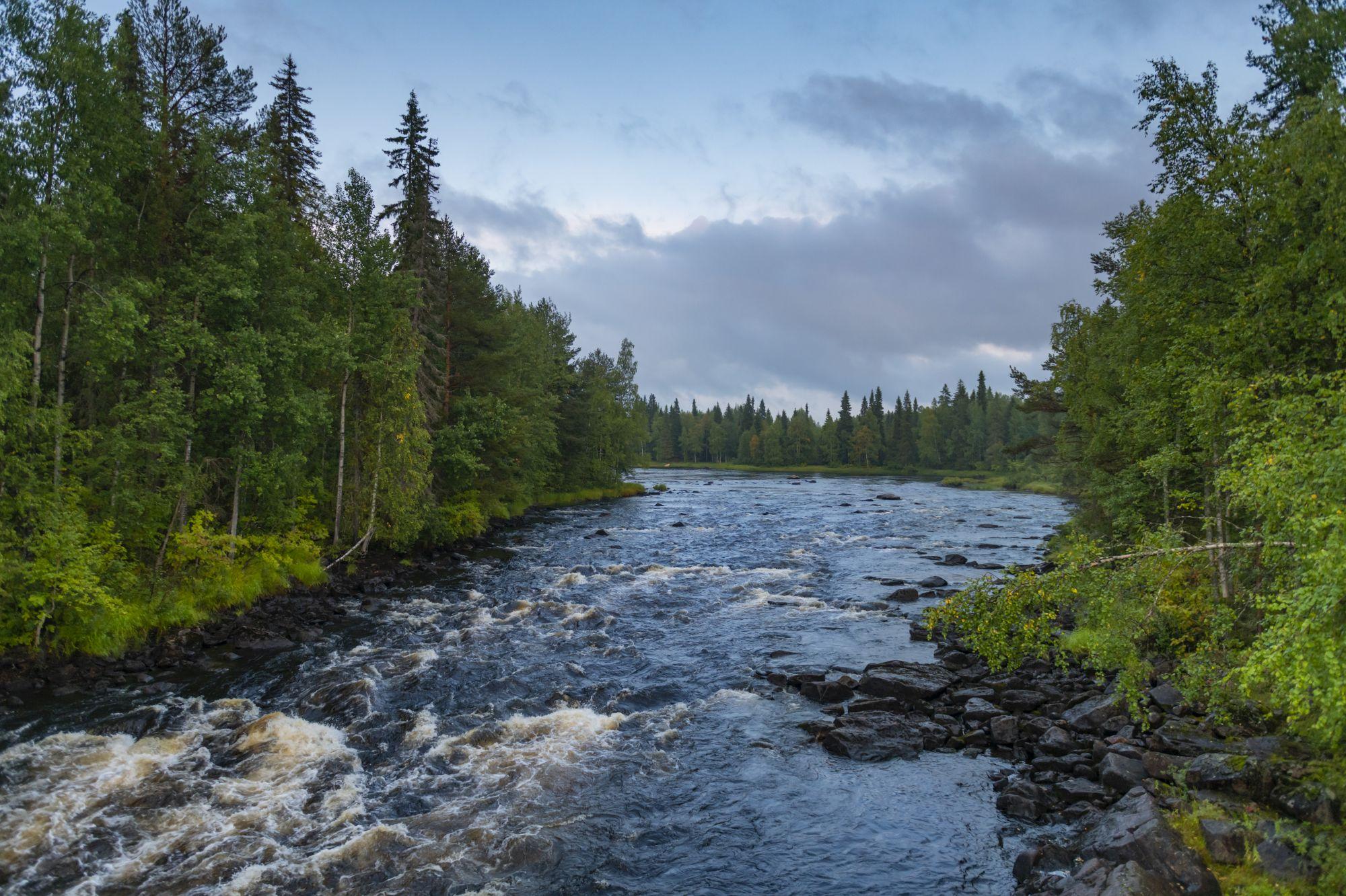 Touristen, die noch im August durch Lappland streifen, brauchen in der Regel einen guten Mückenschutz. Im September ist der aber nicht mehr nötig. Viel früher als in Deutschland setzt hier oben der Herbst ein, zu kalt oder zu nass ist es deshalb aber noch lange nicht.