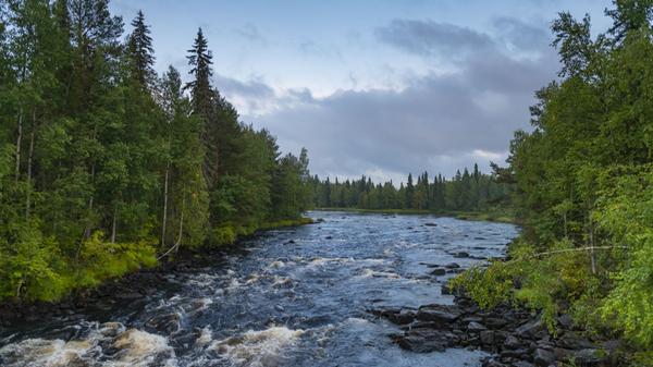 Touristen, die noch im August durch Lappland streifen, brauchen in der Regel einen guten Mückenschutz. Im September ist der aber nicht mehr nötig. Viel früher als in Deutschland setzt hier oben der Herbst ein, zu kalt oder zu nass ist es deshalb aber noch lange nicht.