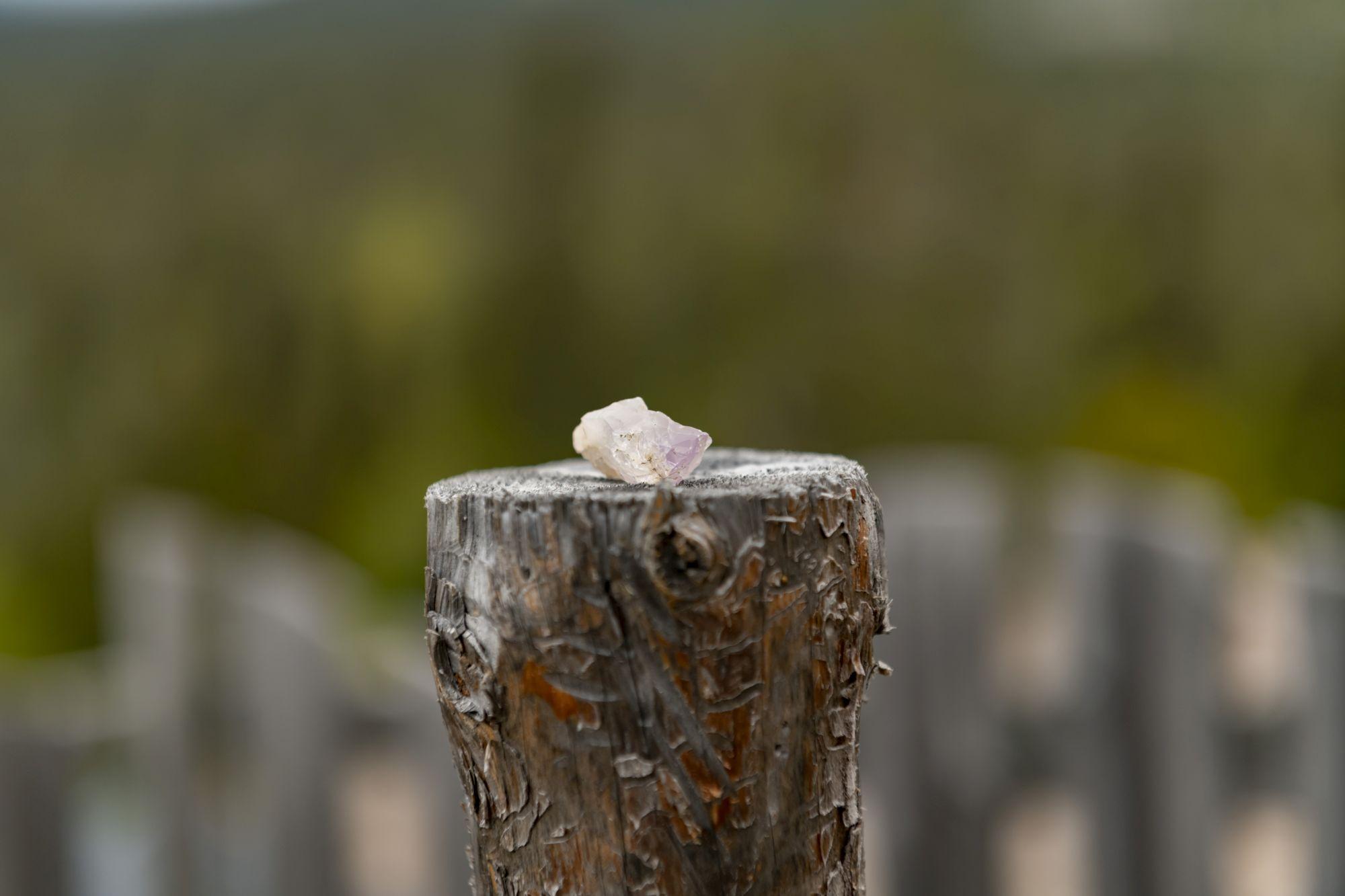 Und wer doch kein Glück hatte, kann sich Amethysten auch im Laden kaufen.