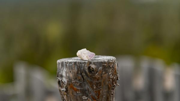 Und wer doch kein Glück hatte, kann sich Amethysten auch im Laden kaufen.