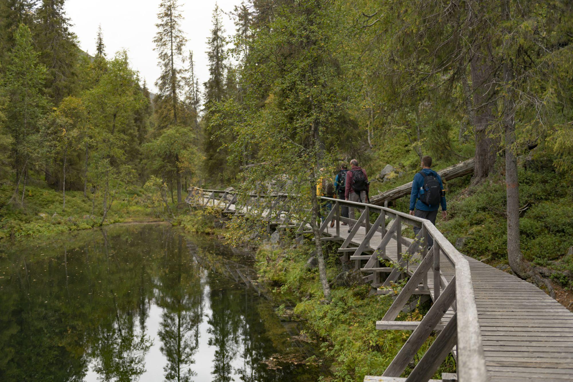 Bestens ausgestattete Holz-Wanderwege gibt es auch in Finnlands tiefster Schlucht, der Iso Kuru mitten im Pyhä-Luosto Nationalpark.