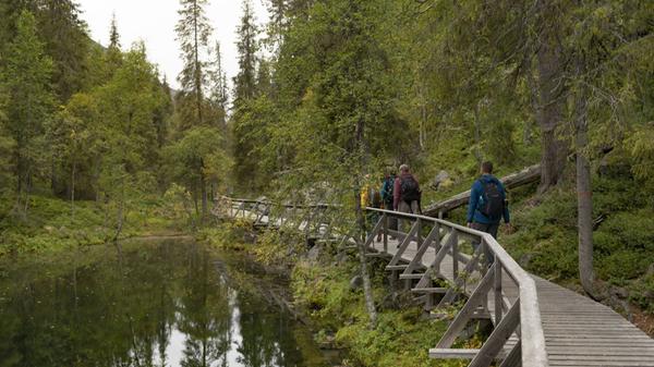 Bestens ausgestattete Holz-Wanderwege gibt es auch in Finnlands tiefster Schlucht, der Iso Kuru mitten im Pyhä-Luosto Nationalpark.