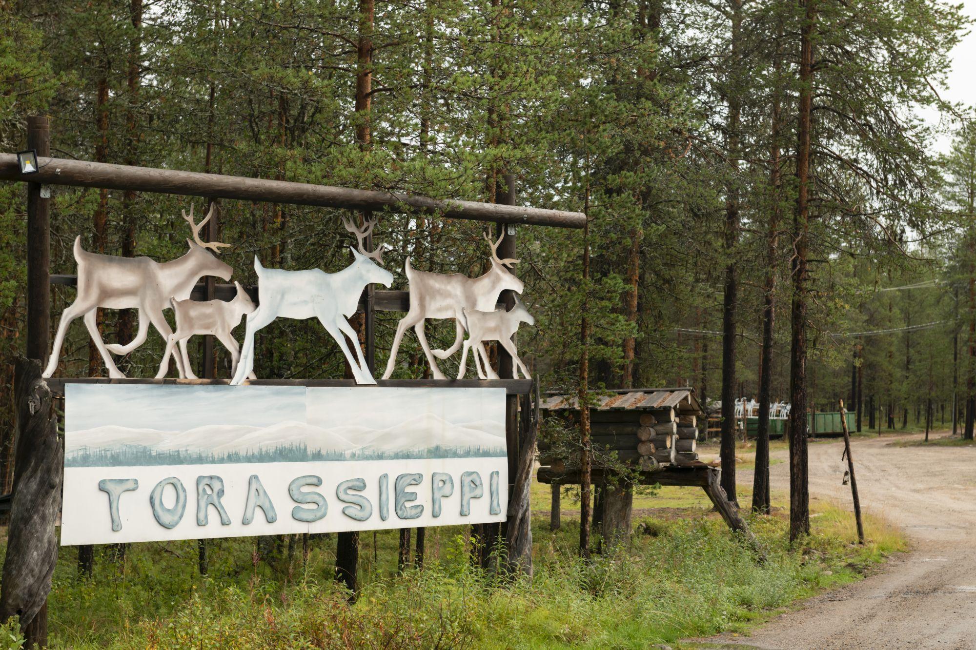 Wie groß die Herde eines Rentierbesitzers ist, werden Außenstehende übrigens nie erfahren. Darüber spricht das Volk der Sami einfach nicht - es könnte Rückschlüsse auf ihren Reichtum erlauben. Ganz Lappland ist in einzelne Genossenschaften unterteilt, innerhalb derer sich die Rentierherden das ganze Jahr über bewegen. Anfang September wird die Jagdsaison eröffnet, um den Bestand etwas zu reduzieren.
