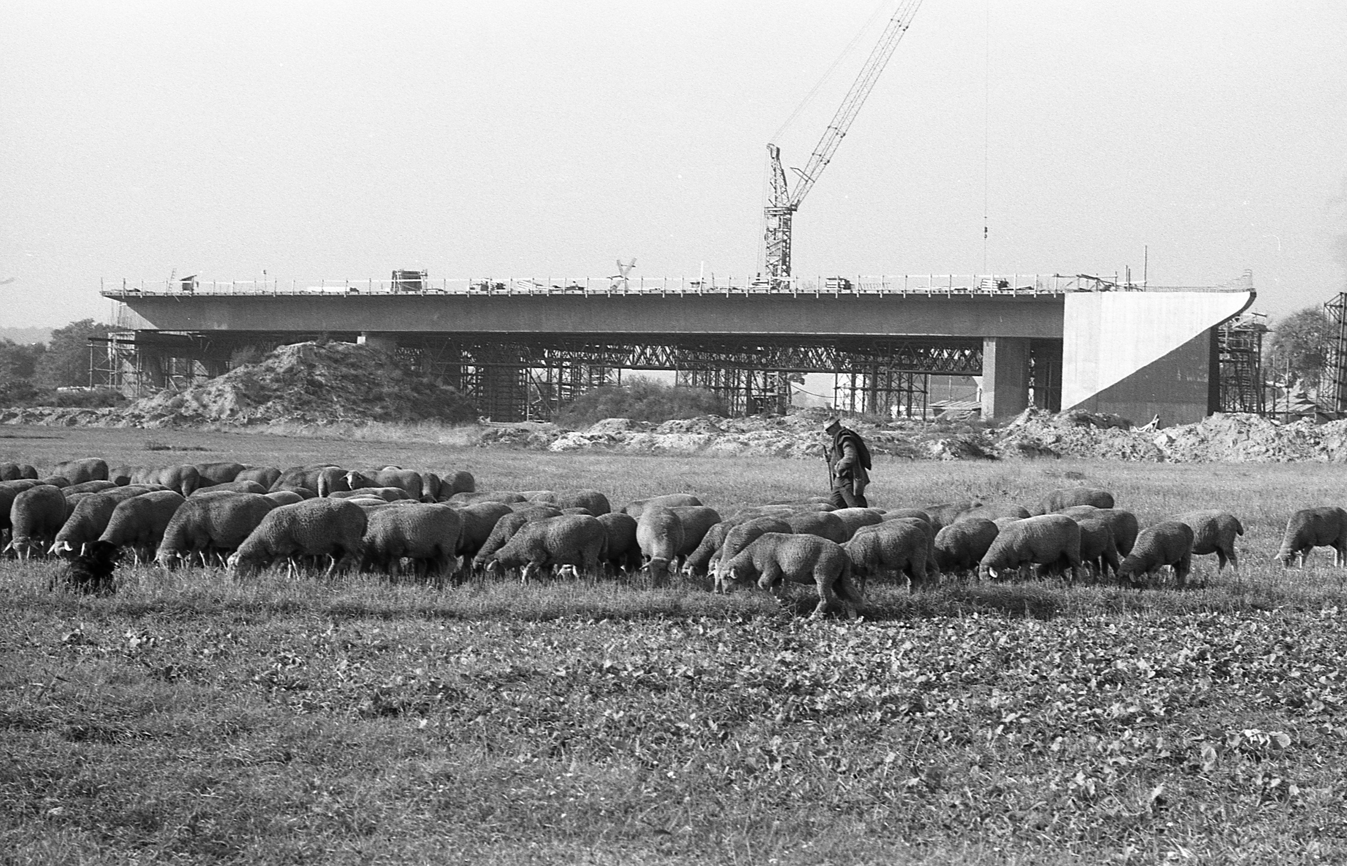 11. Oktober 1969: Brücken an der Trasse des Kanals 11. Oktober 1969: Brücken an der Trasse des Kanals