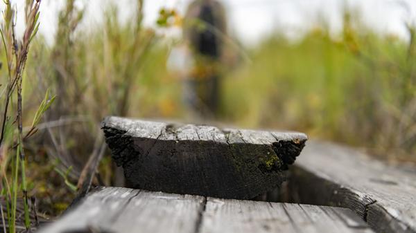 Etwa alle fünf Jahre muss das Holz ausgetauscht werden, weil es durch die ständige Nässe von unten zerfällt. Die Finnen legen großen Wert darauf, nur unbehandeltes Holz zu verwenden. Dass in letzter Zeit auch ausgediente Strommasten recycelt und für die Wanderwege zurechtgesägt werden, wurde heftig diskutiert. Denn diese Masten wurden zur besseren Haltbarkeit ursprünglich mit Chemie behandelt. Der Gedanke, das Holz sinnvoll so lange weiter zu benutzen, bis es auch als trittfester Untergrund für Wanderer ausgedient hat, überwog allerdings.