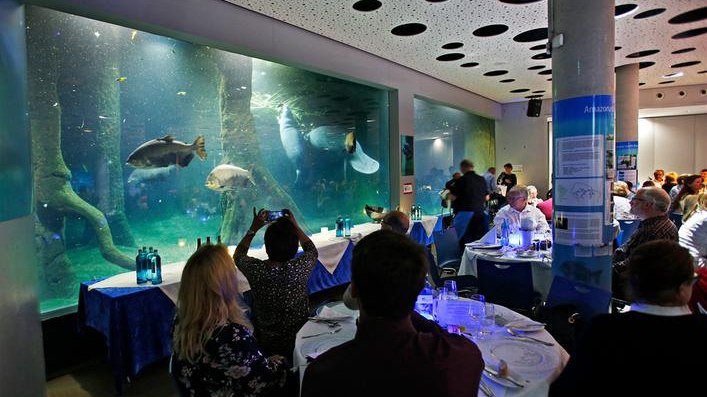 Artenschutz-Dinner im Tiergarten: Schlemmen neben Delfinen