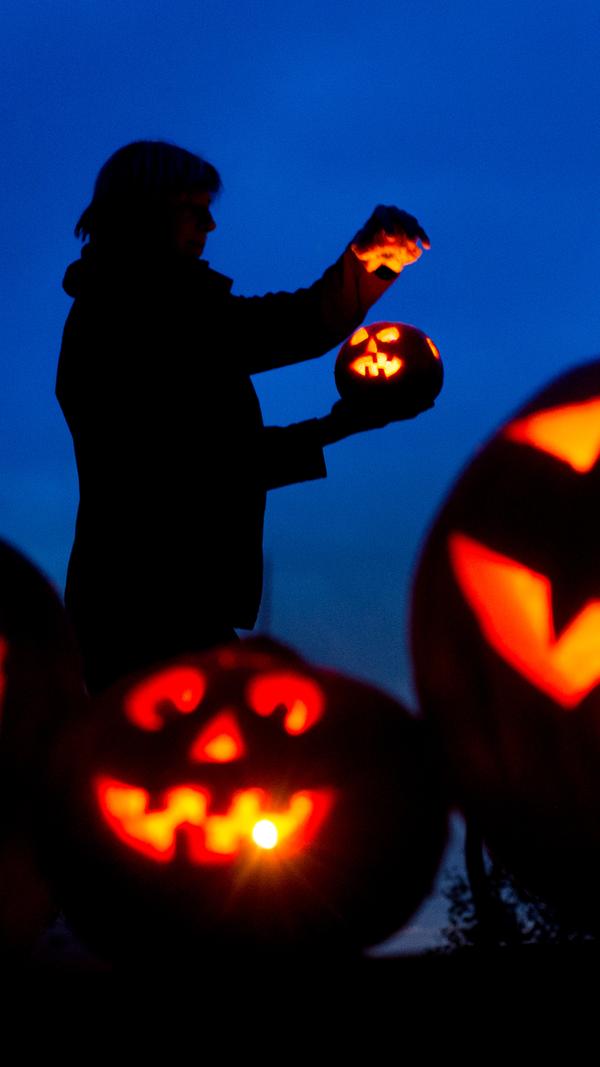 urn:newsml:dpa.com:20090101:181029-99-580111