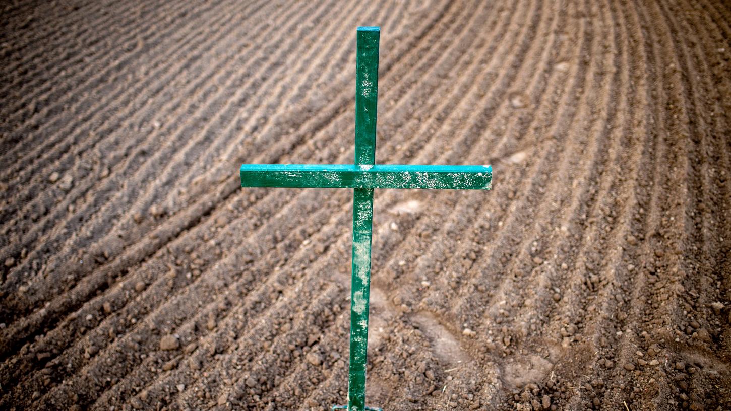 Zahlreiche Landwirte haben als Zeichen des Protestes grüne Kreuze am Rande ihrer Felder aufgestellt.