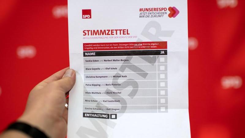 Vorentscheid zum SPD-Vorsitz: Das sagen Genossinnen aus dem Kreis Forchheim