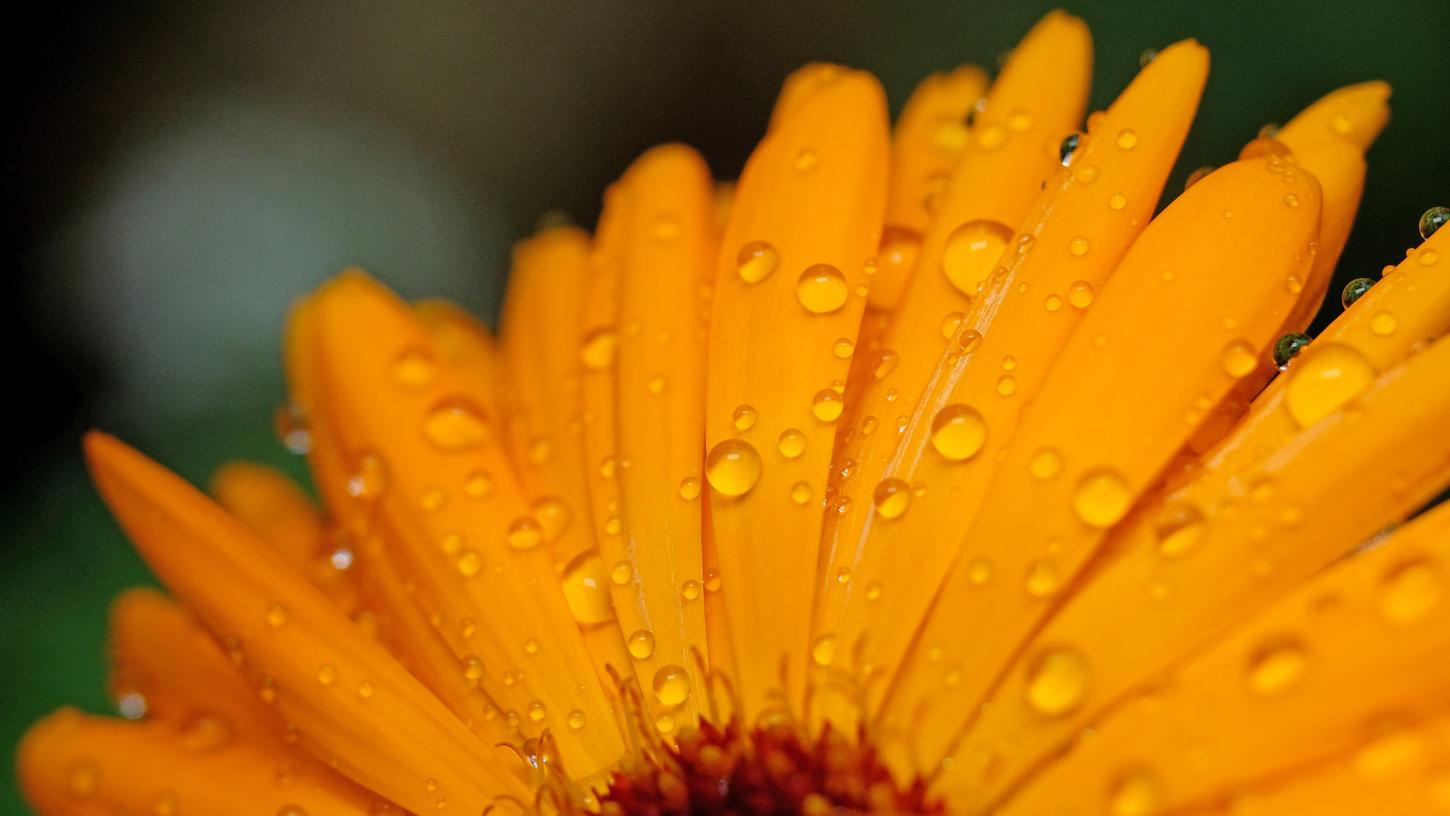 War der Sommer wirklich so verregnet und kalt wie es uns vorkam?