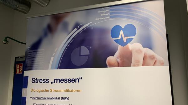 …die Forscher untersuchen, wie sich Stress auf das Denken der Versuchspersonen auswirkt.