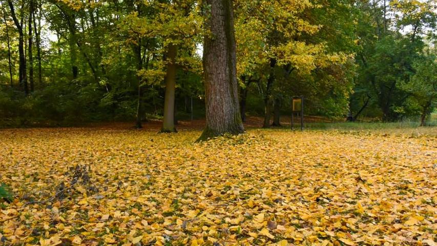 Traumhafte Bilder: So schön leuchtet Franken im Herbst