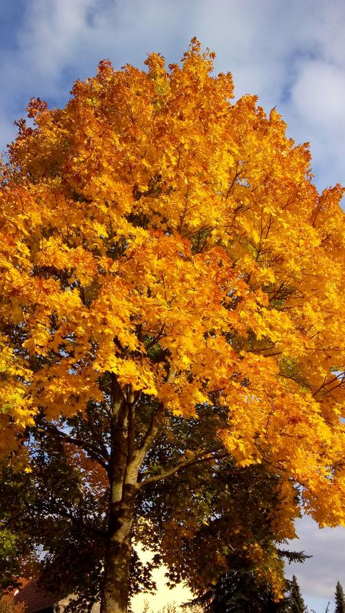 Traumhafte Bilder: So schön leuchtet Franken im Herbst