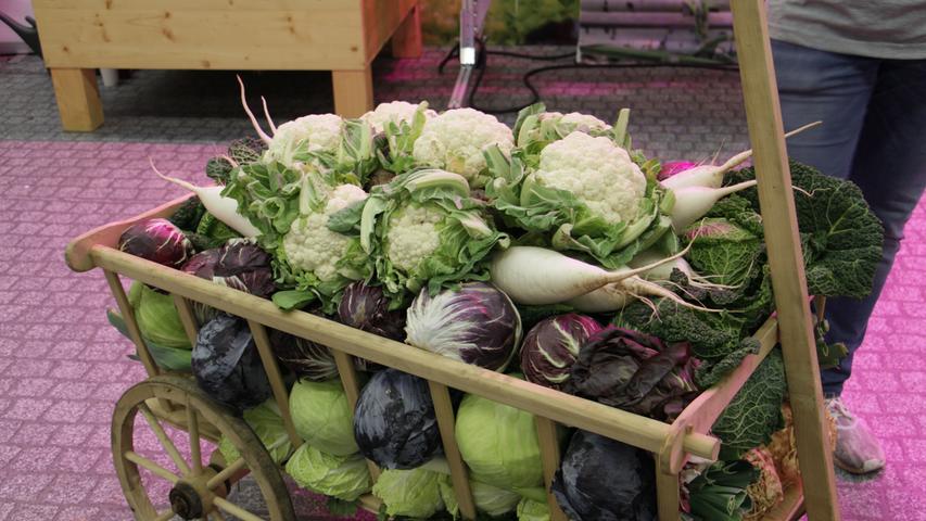 Gemüse, Schuhe und Leckereien: Impressionen von der Consumenta 2019