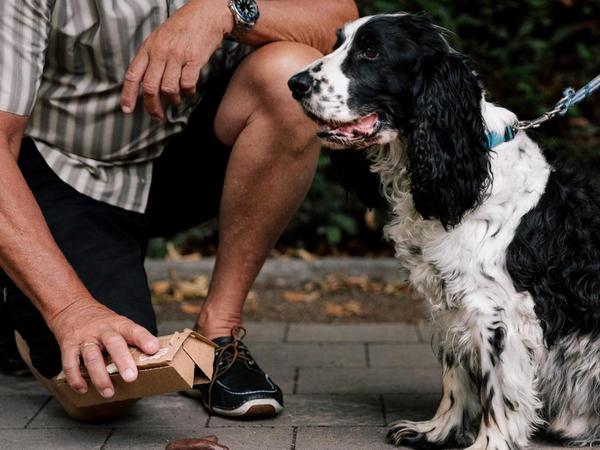 Sind Nürnbergs Hundekot-Beutel aus Plastik eine Umweltsünde?