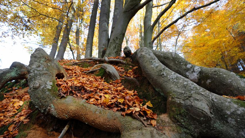 Herbstspaziergang auf den Ottenberg