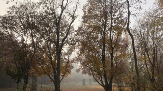 Sonne, Herbstlaub, Schnee: Der Stadtpark Forchheim im Wandel der Jahreszeiten