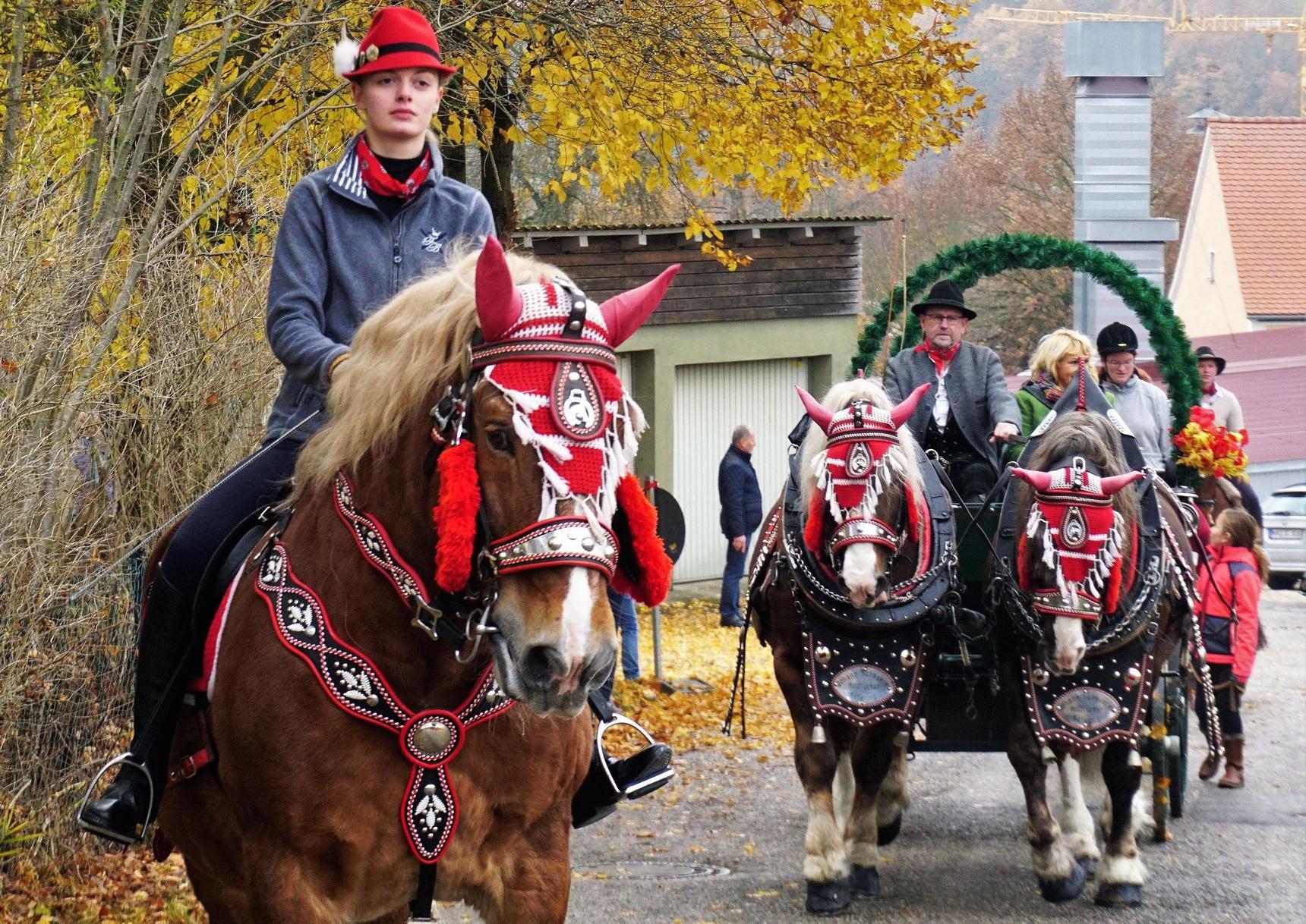 Lengenfeld schmückt Pferde für Martini-Ritt | Nordbayern