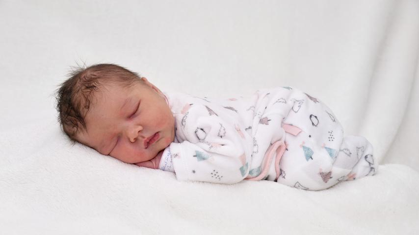 Rosa nimmt das Fotoshooting ganz gelassen hin und schläft erstmal eine Runde. Die Kleine wurde am 13. November in der Klinik Hallerwiese geboren. Mit 48 Zentimetern Körpergröße bringt Rosa 3400 Gramm auf die Waage.
