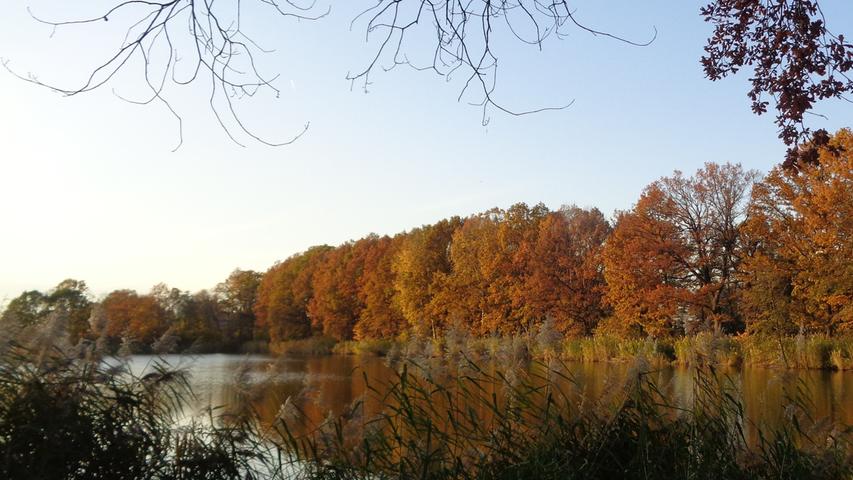 So schön zeigt sich der Herbst in Forchheim und der Fränkischen