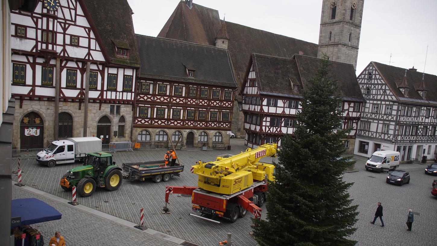 Vom Staatstheater auf den Rathausplatz: Forchheim hat seinen Weihnachtsbaum
