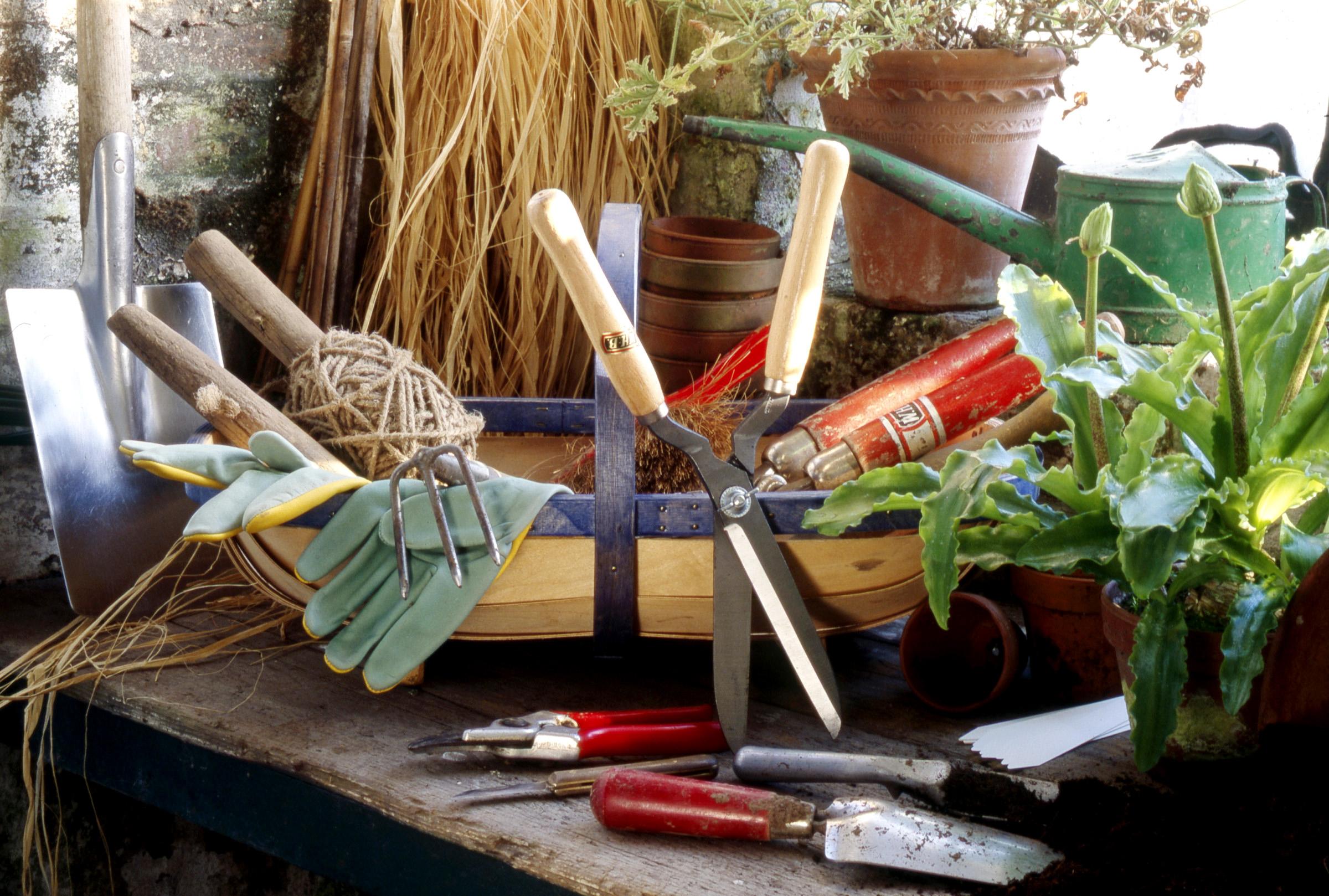 Zehn Tipps Das sollten Gärtner im Dezember tun