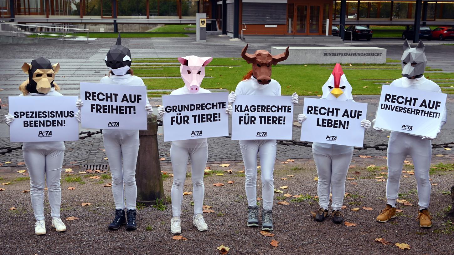 Aktivisten protestieren mit Tiermasken vor dem Bundesverfassungsgericht.