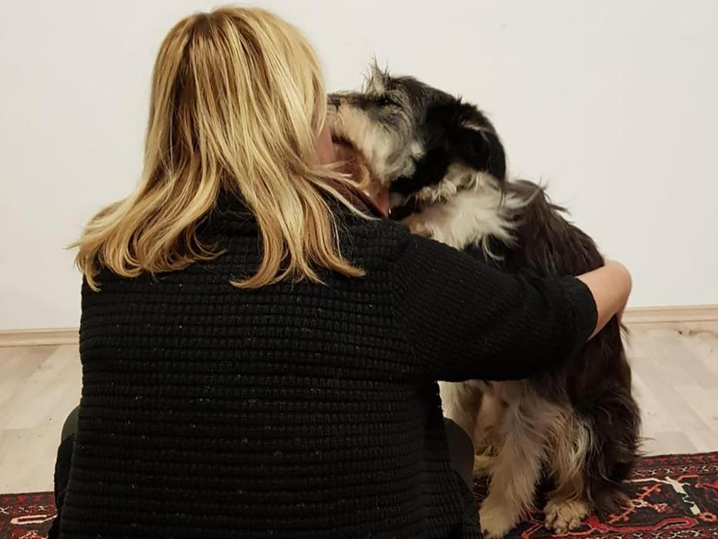 ein jahr vermisst hund bei ebermannstadt wiedergefunden russenbach nordbayern de