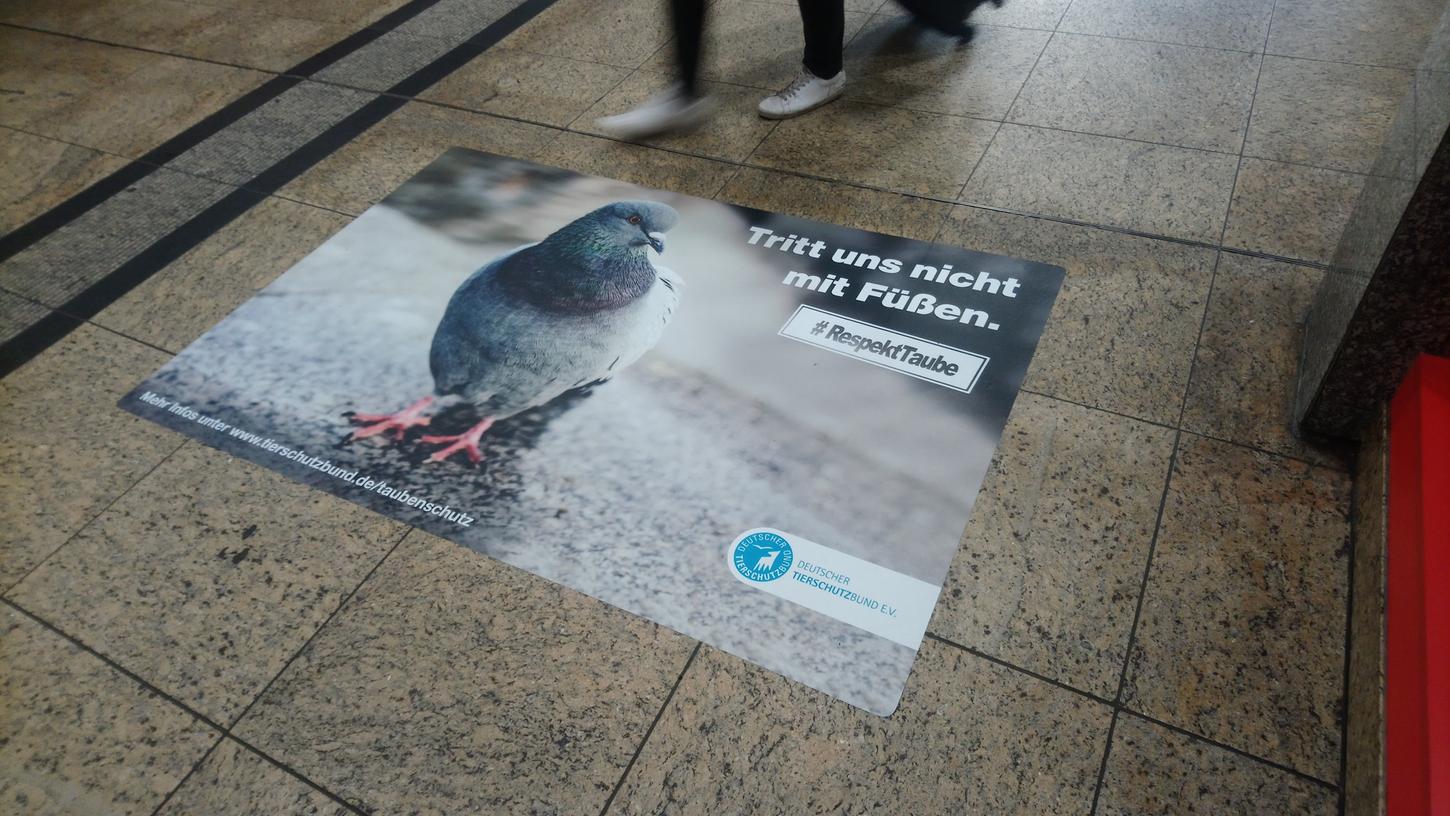Solche Bodenplakate hat der Tierschutzbund in 31 deutschen Städten verteilt