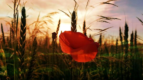 ...2300 Abonnenten folgen. „Durch Instagram hab ich einige Hobbyfotografen kennengelernt, die nicht von hier sind, und nun immer wieder in die Fränkische Schweiz kommen“, erzählt sie. Mehr über sie lesen Sie hier.