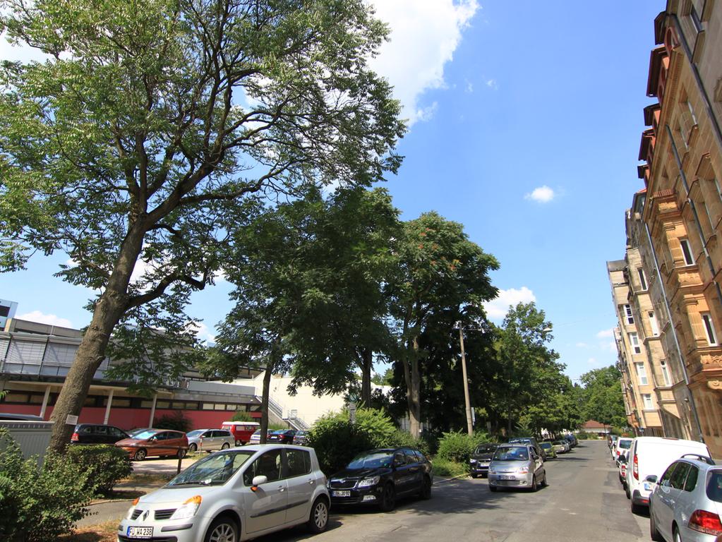 Blick in die Jakobinenstraße: Die alten Bäume am Straßenrand, das hat eine Prüfung durch die Stadtverwaltung ergeben, sind nicht zu retten. Die geplanten Neubauten beanspruchen zu viel Platz, heißt es.