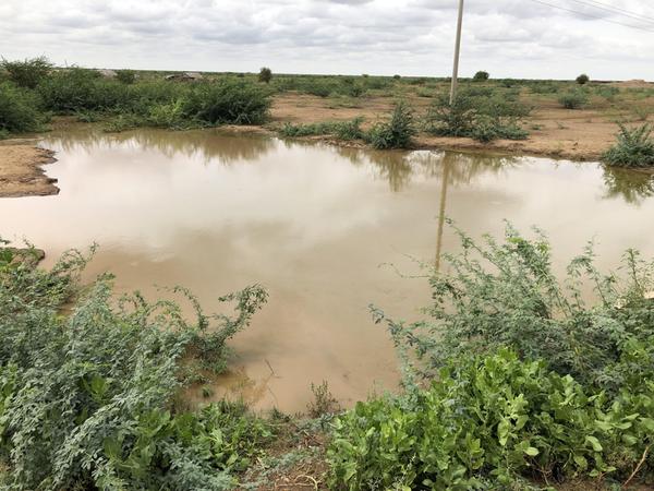 Aus diesem Tümpel trinken Menschen und Weidentiere gemeinsam. Auch Wasser zum Kochen und Waschen wird hier geschöpft.