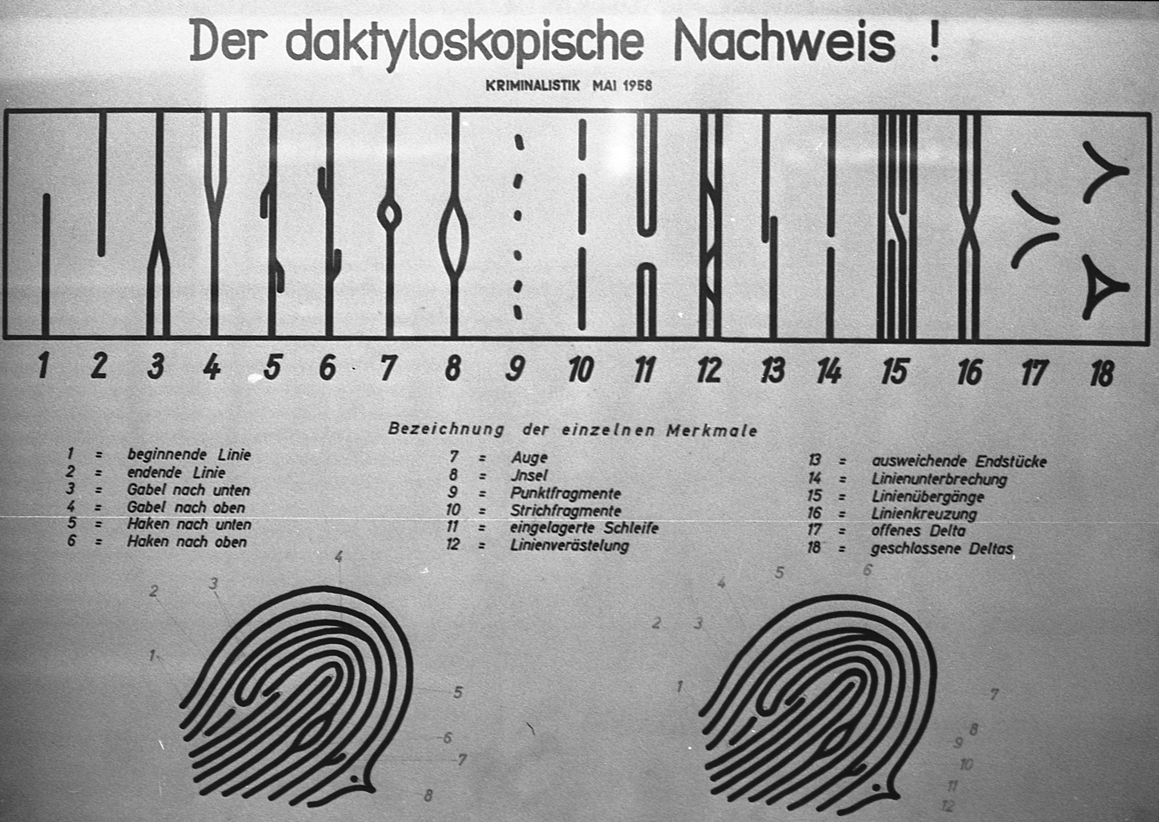 1. Dezember 1969: Untrüglicher Beweis 1. Dezember 1969: Untrüglicher Beweis