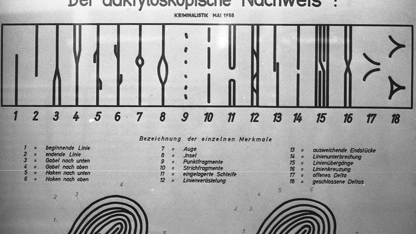 Vergleich zwischen einem am Tatort gefundenen und dem registrierten Fingerabdruck. Nur 12 übereinstimmende Merkmale sind zur Identifizierung des Täters nötig. Hier geht es zum Artikel vom 1. Dezember 1969: Untrüglicher Beweis "überholt"