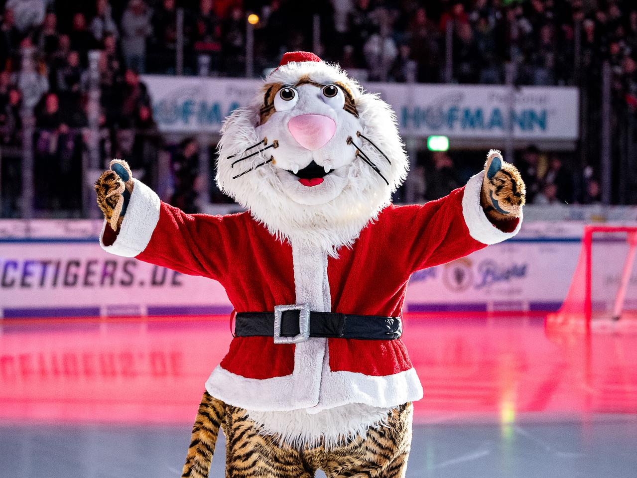 Tore, Jubel & Verletzung: Ice Tigers bezwingen auch Augsburg Tore, Jubel & Verletzung: Ice Tigers bezwingen auch Augsburg
